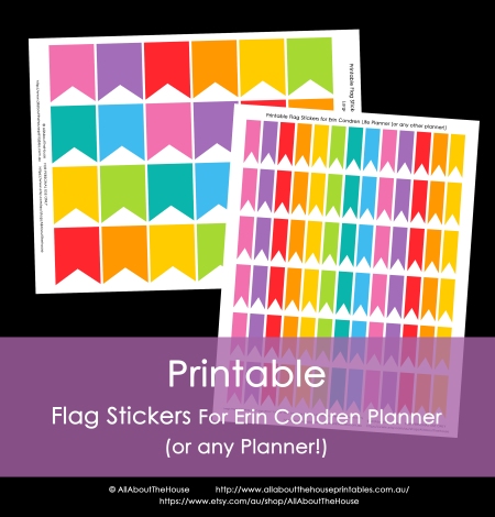 Printable Flag calendar stickers planner printable rainbow erin condren plum paper